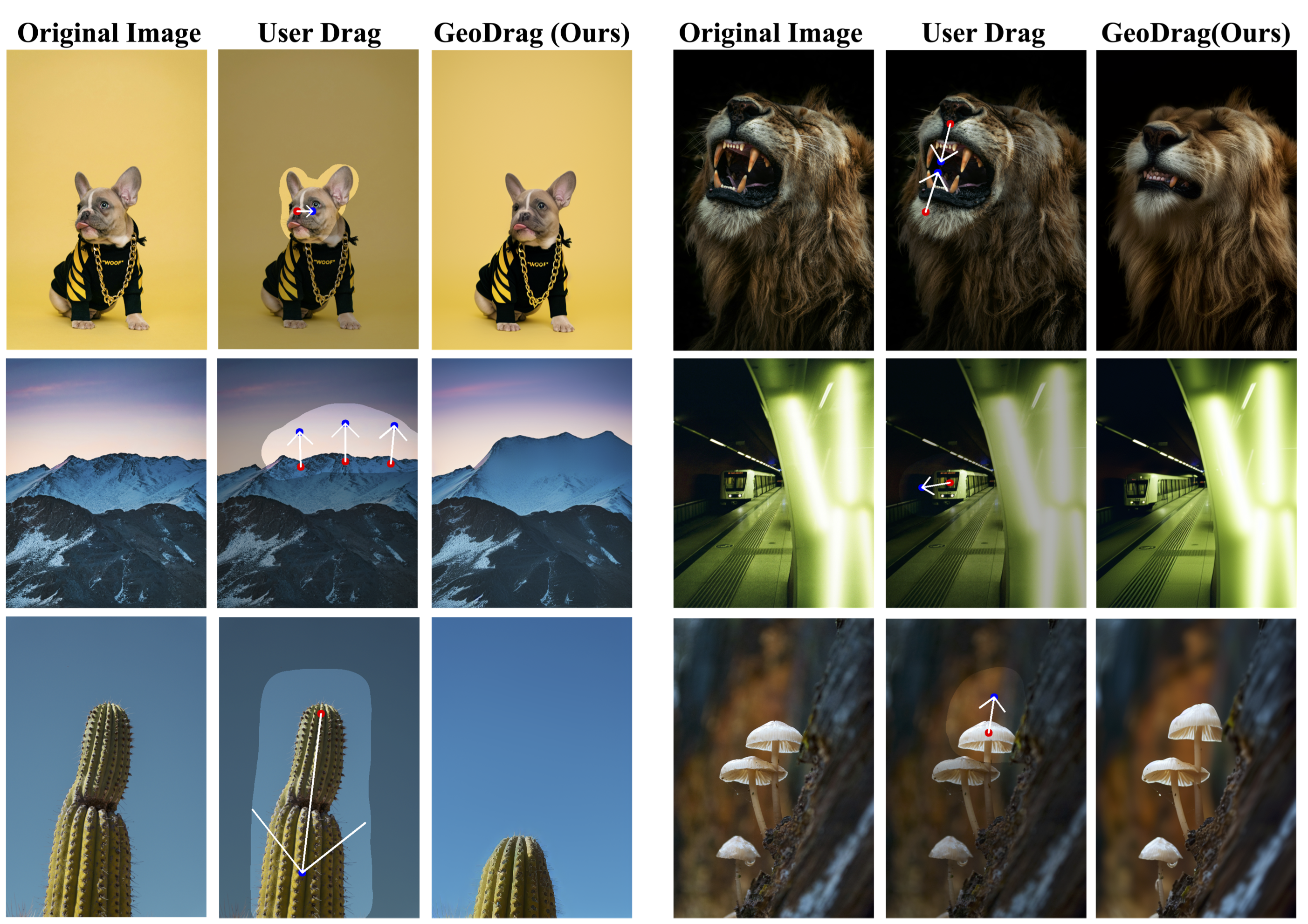 First research result visualization